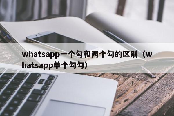 WhatsApp显示单钩是什么意思？