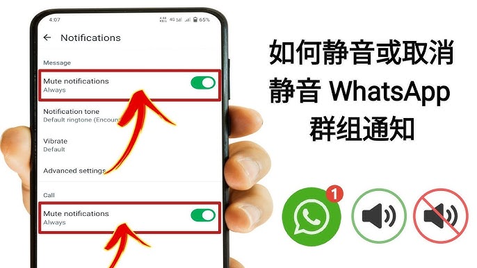 WhatsApp通知怎么设置？